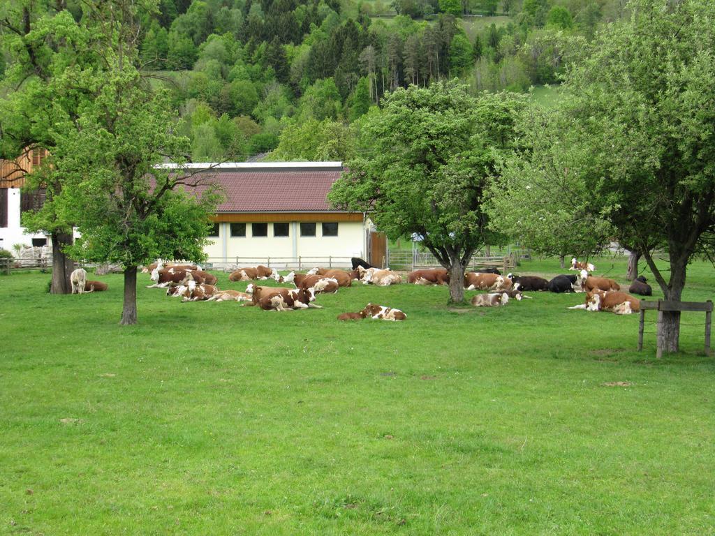 Ferienwohnung Donisbauerhof Lieserbrücke Exterior foto